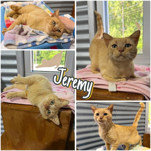Jeremy - Silo
