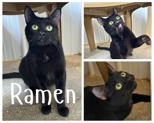 Ramen