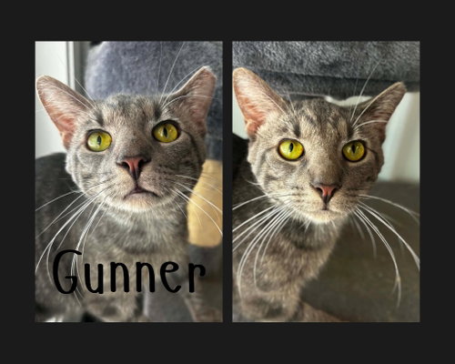 Gunner