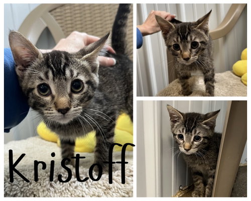 Kristoff