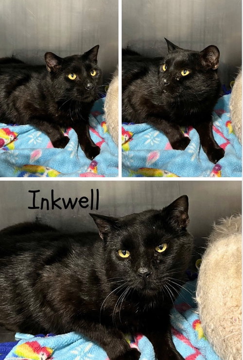 Inkwell