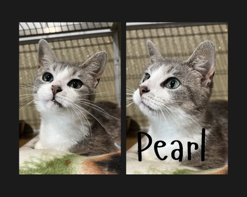 Pearl