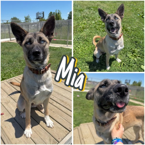 Mia