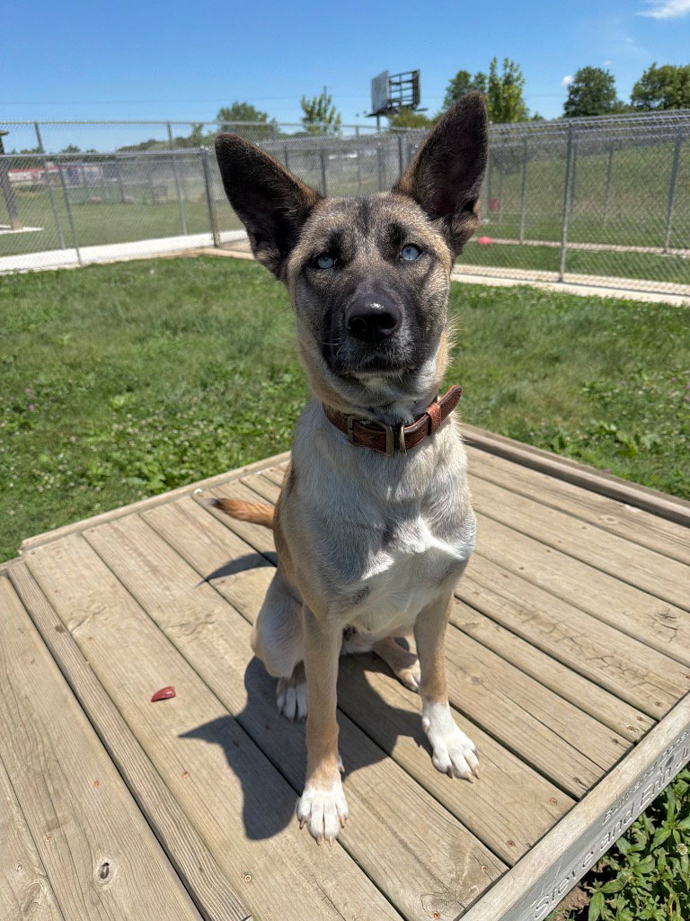 Mia
