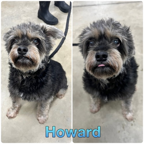 Howard