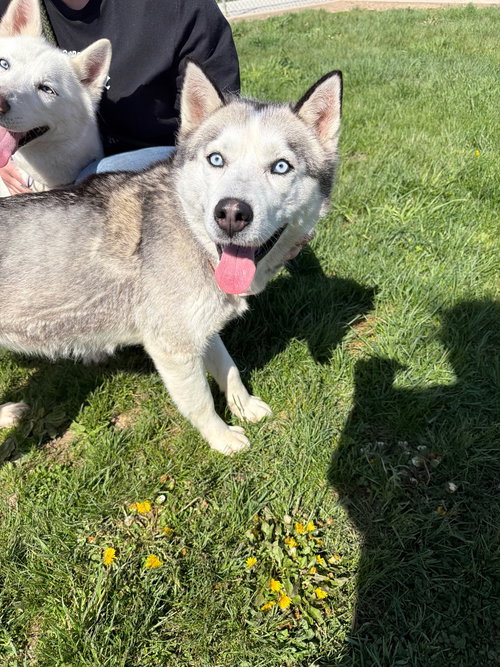 Luna photo 3