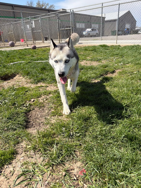 Luna