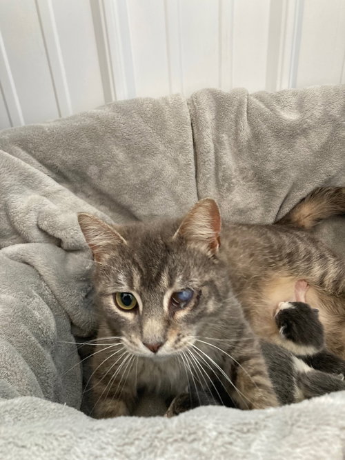 Phoenix- Retired Momma photo 2