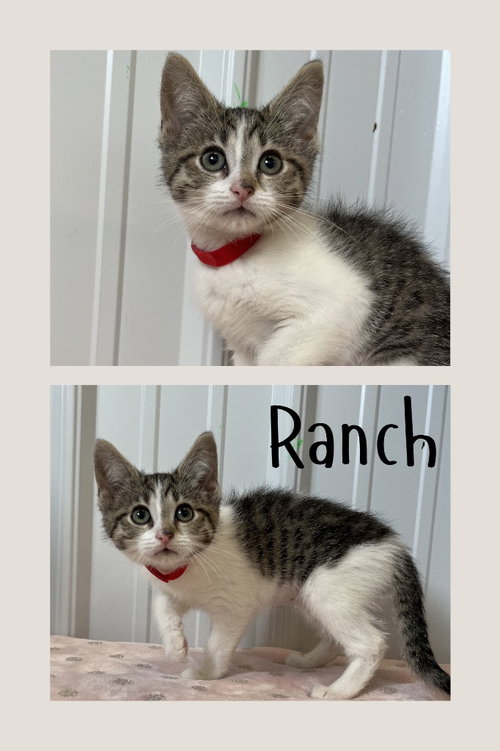 Ranch