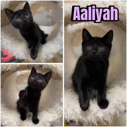 Aaliyah