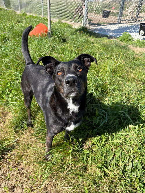 Molly photo 2