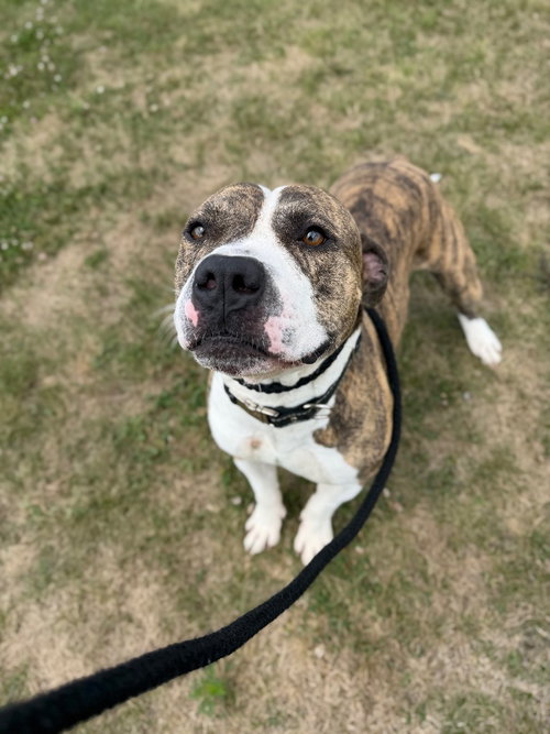 Zeus photo 4