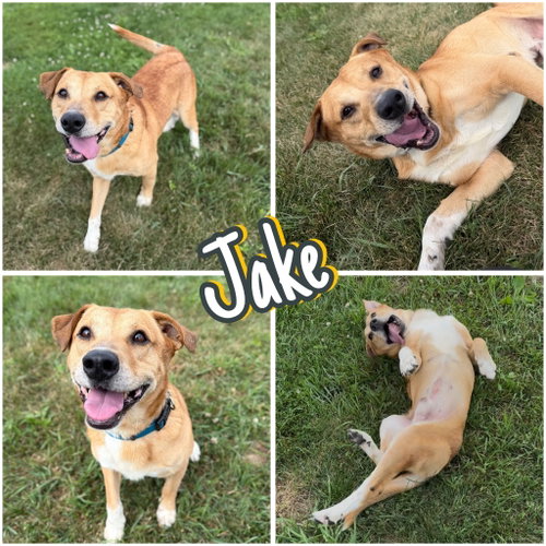 Jake
