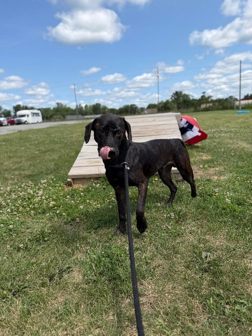 Zuko photo 4