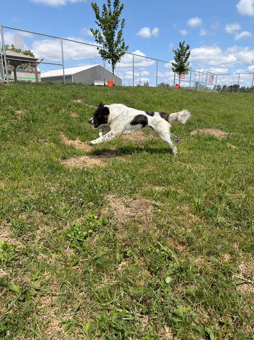 Arlo photo 2