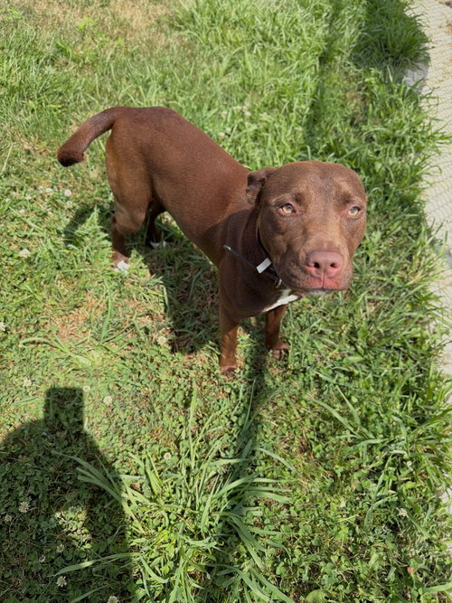 Wiggles photo 4