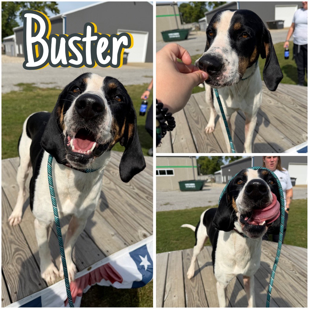 Buster