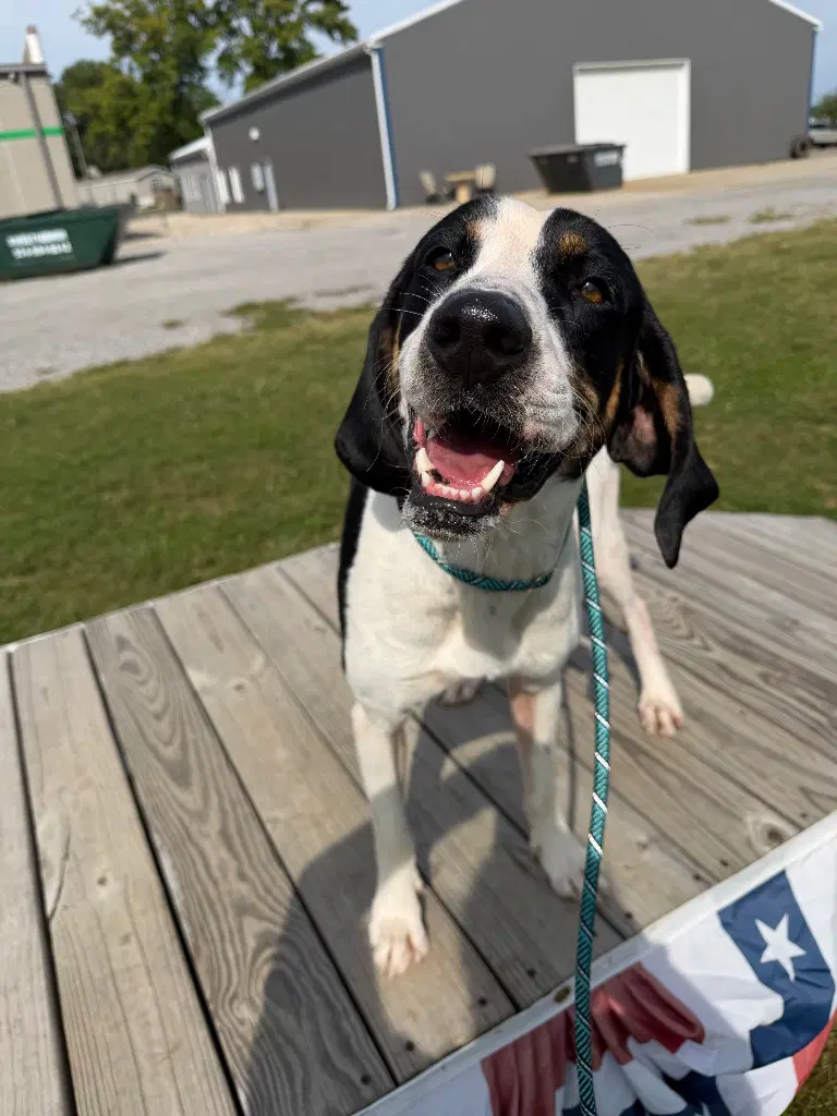 Buster image 3