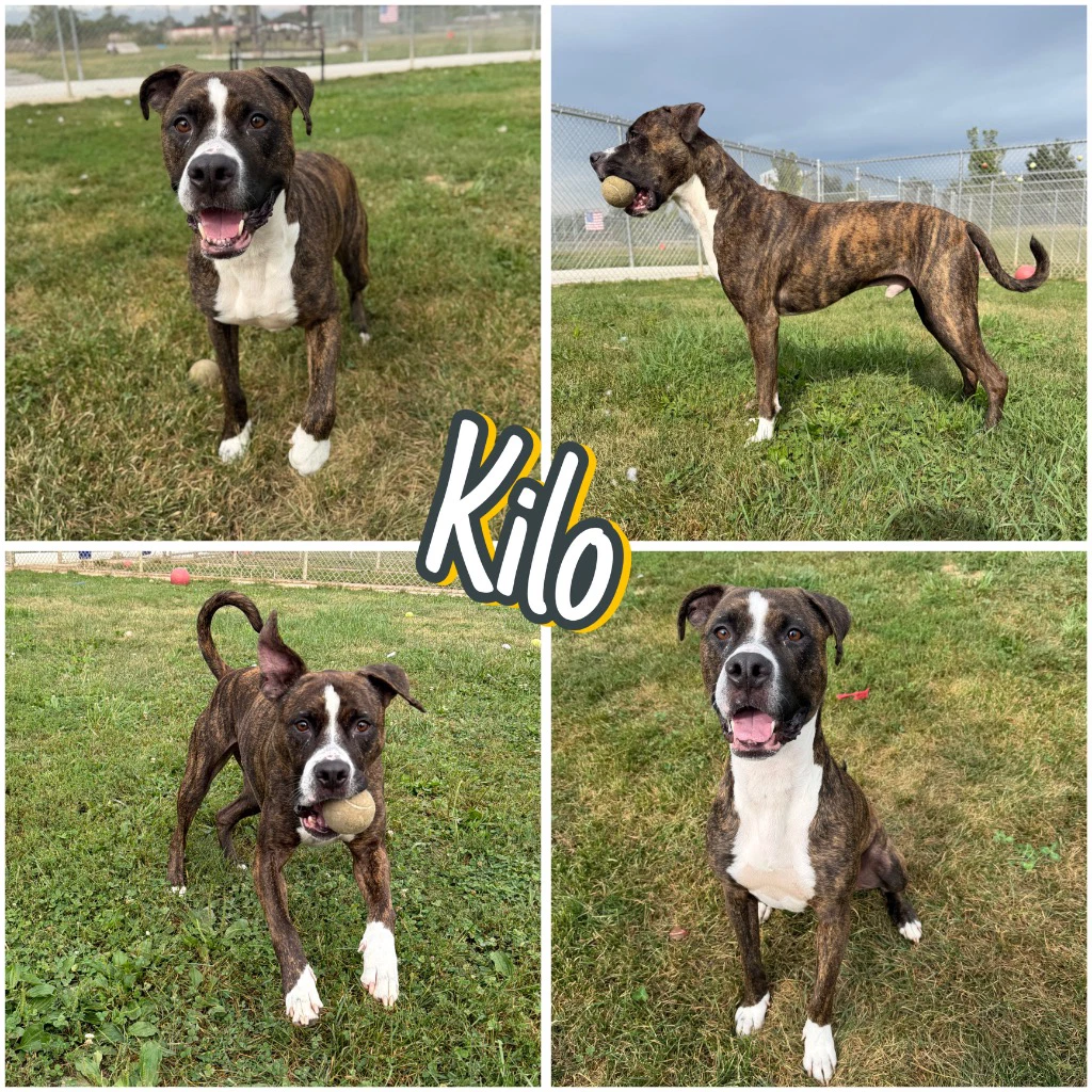 Kilo