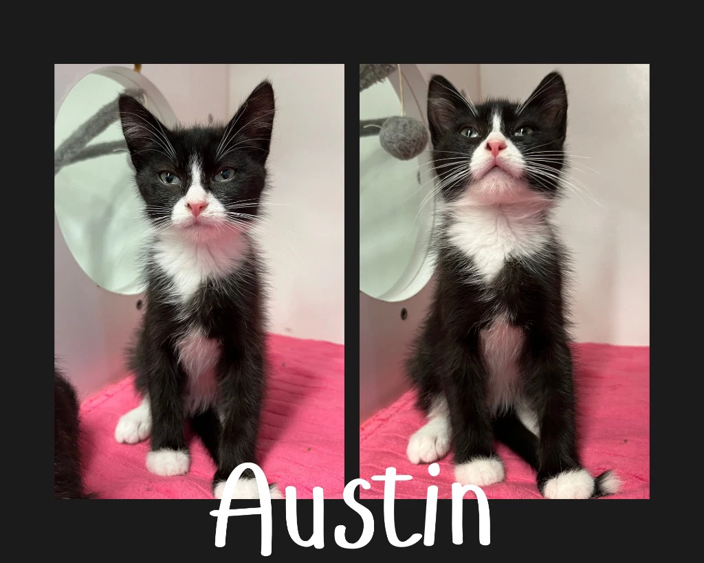Austin
