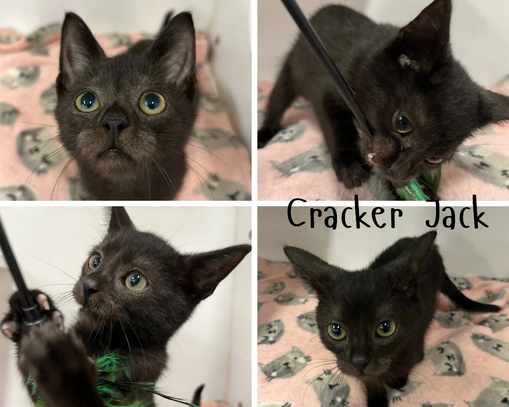 Cracker Jack
