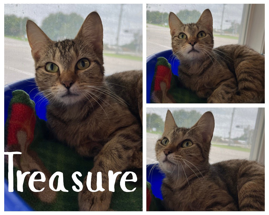 Treasure