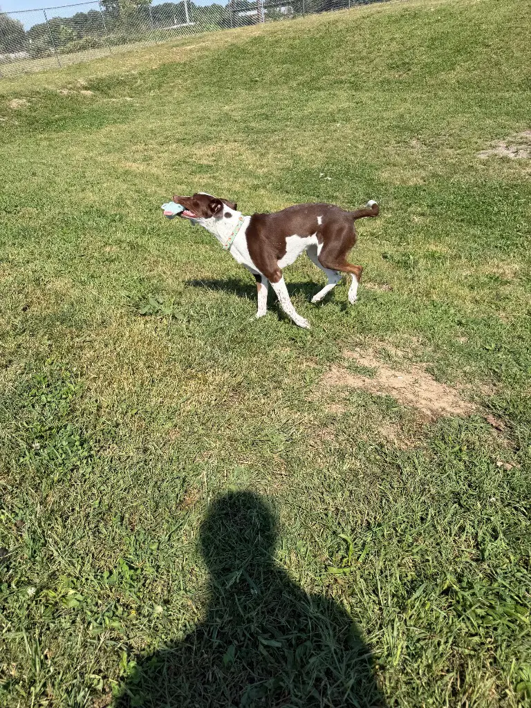 Maybel image 4