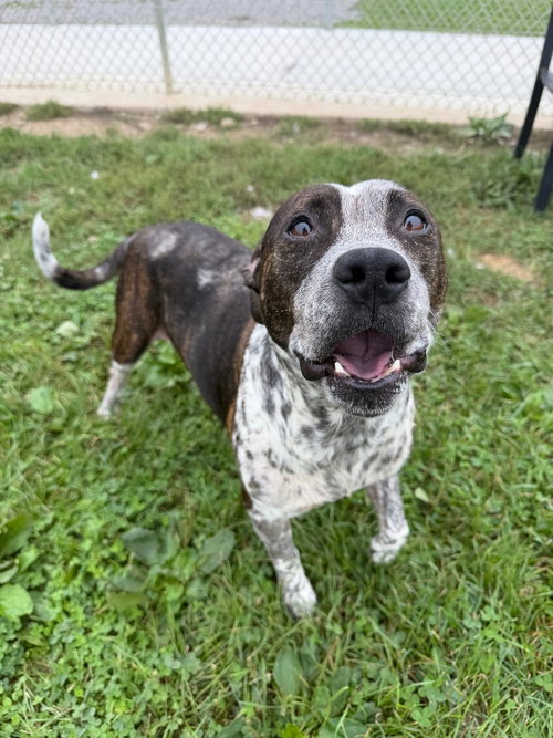 Photo 3 of Oreo
