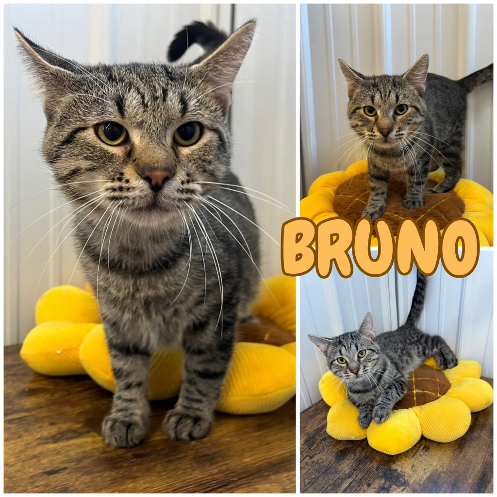 Zero (Bruno)