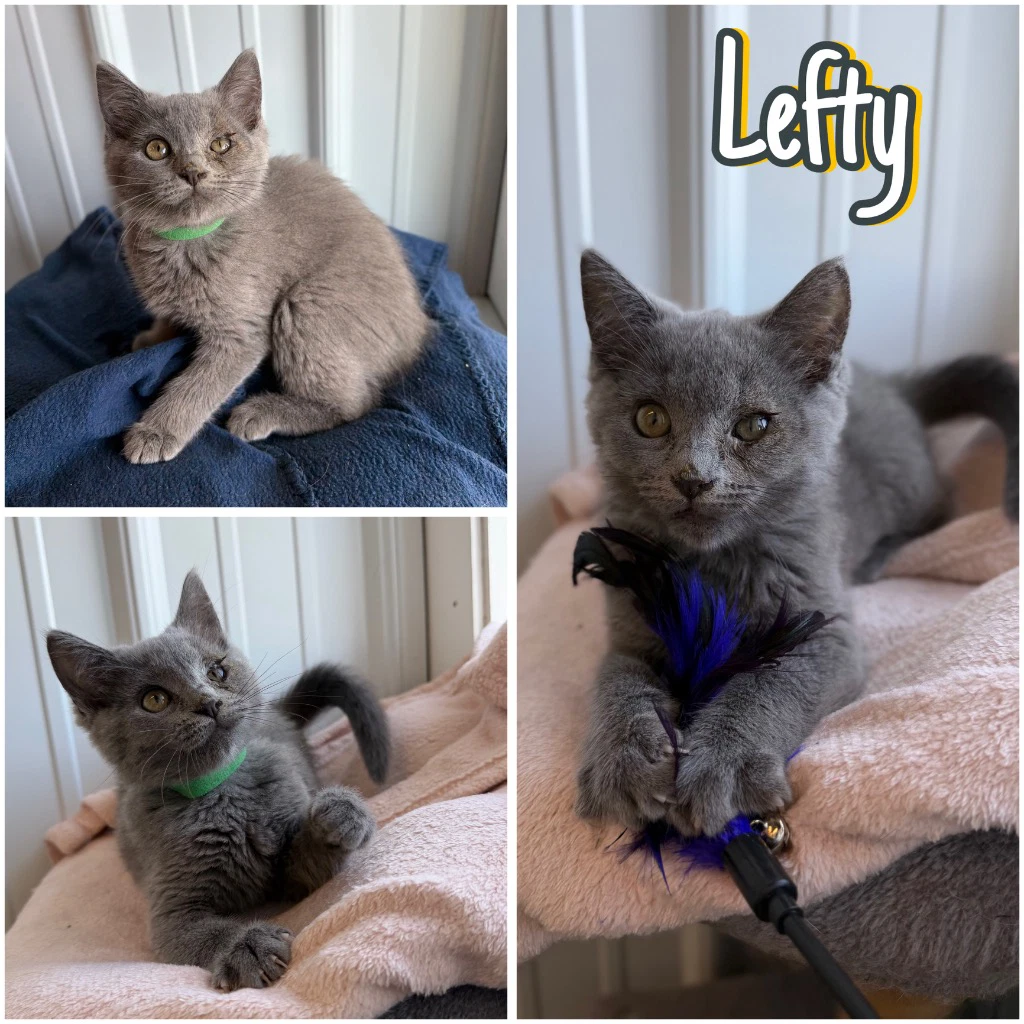 Lefty