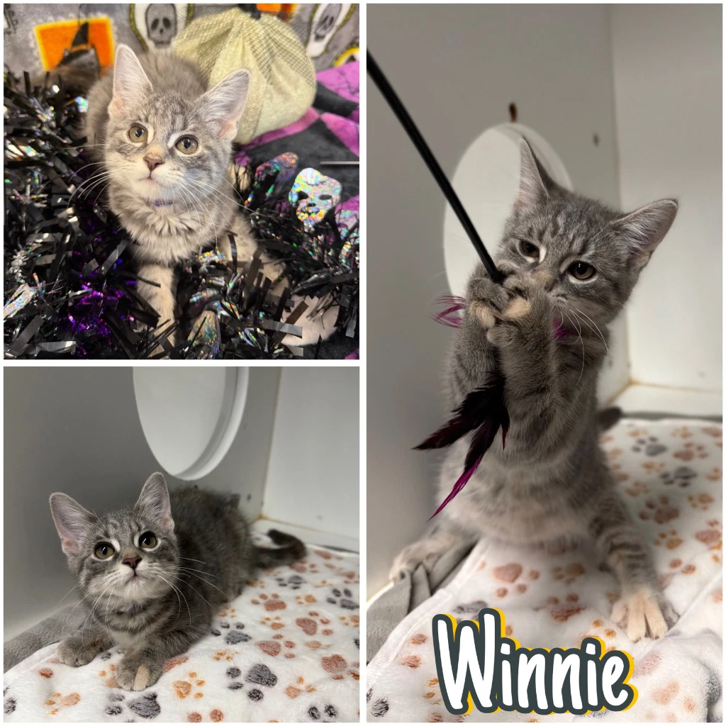 Winnie