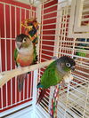Bert and Ernie