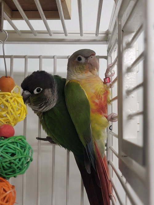 Pete and Marie