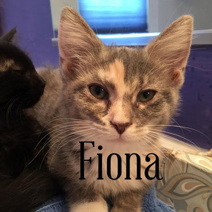 Fiona