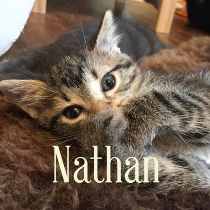 Nathan