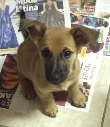Fiona