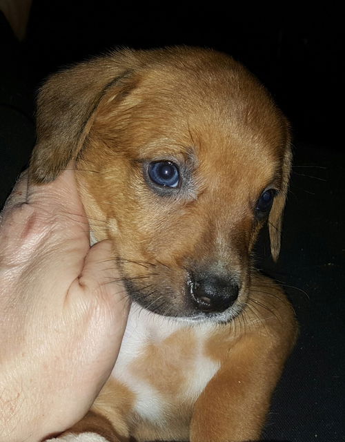 Harvey **NO more applications accepted**