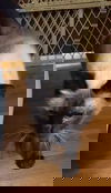 Zazzy