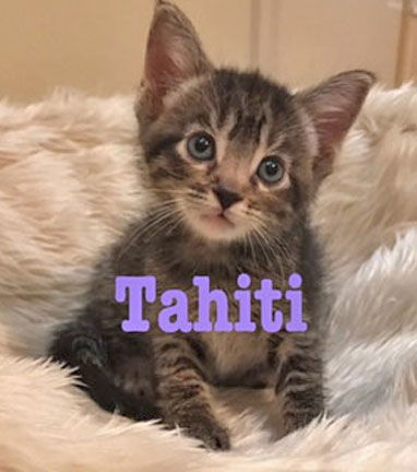Tahiti