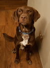 Cadbury