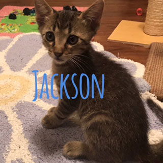 Jackson
