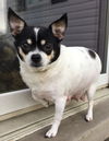Daisy Mae