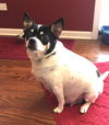 Daisy Mae