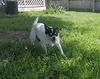Daisy Mae