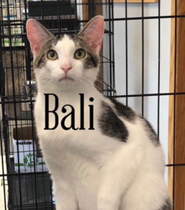 Bali