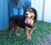 Hansel
