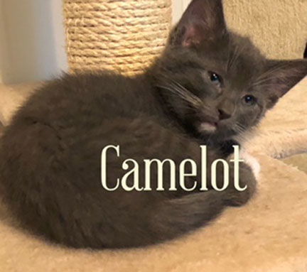 Camelot