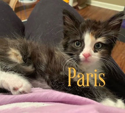 Paris    NO MORE APPLICATIONS BEING ACCEPTED
