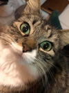 Whitney