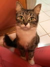 Whitney